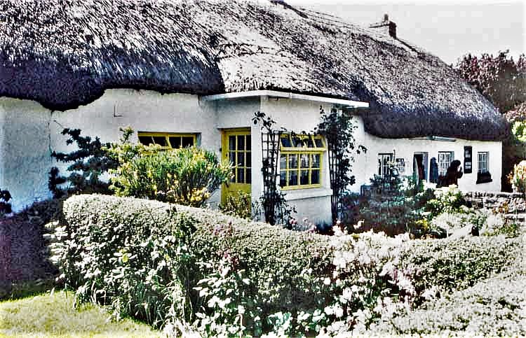 thatched-roof house